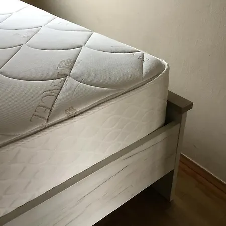 Soós